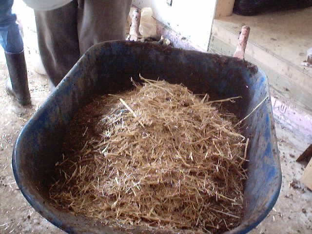 Straw into the Barrow